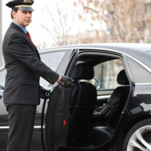 driver standing near car